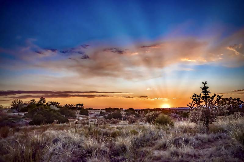 Silver City, NM landscape